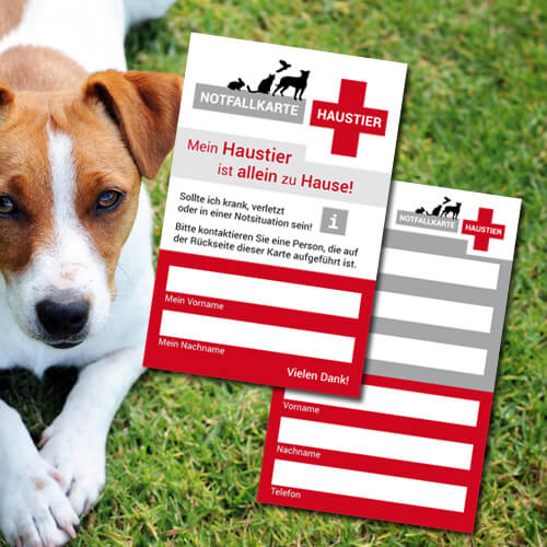Notfallkarte im Scheckkartenformat - Notfallkarte Haustier